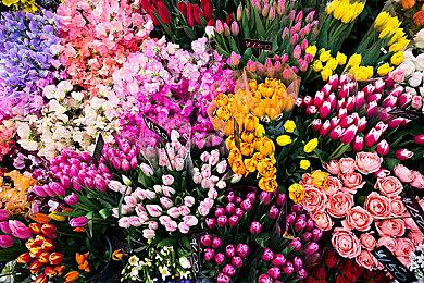 《波斯王子：失落的王冠》开发者：体验核心依然正统